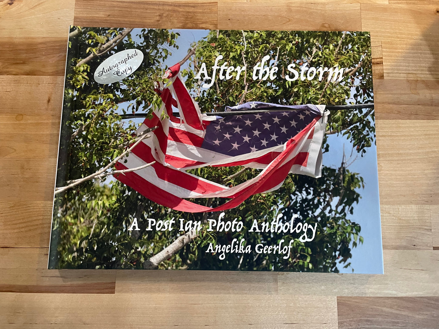 After The Storm Book