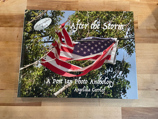 After The Storm Book
