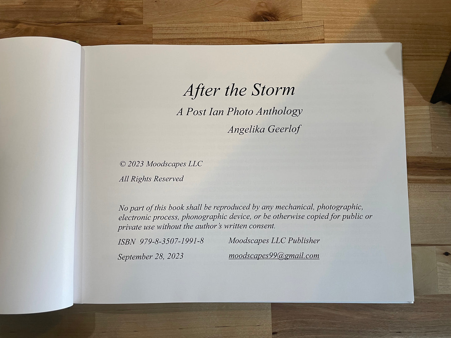 After The Storm Book