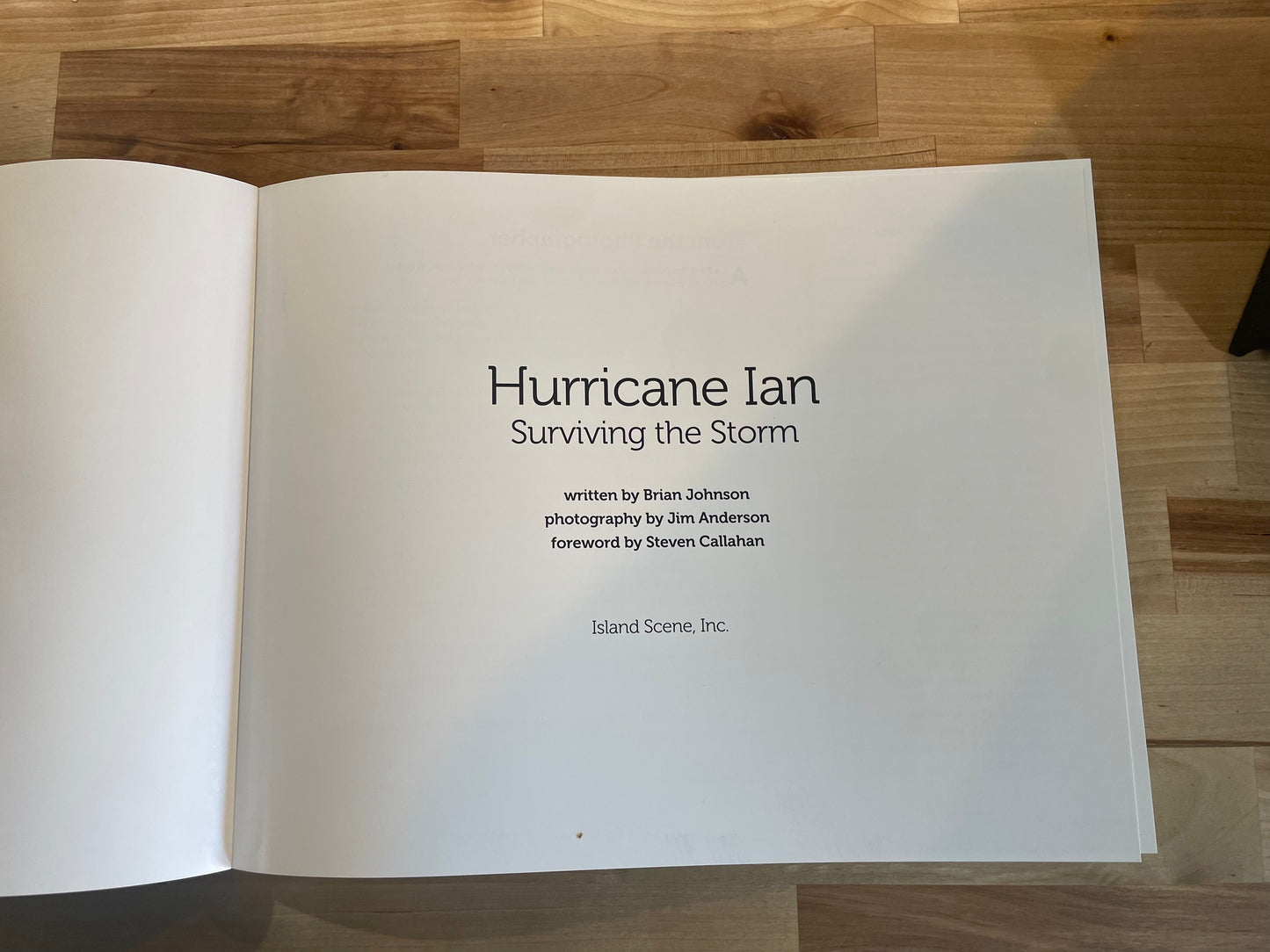 Hurricane Ian: Surviving the Storm Book