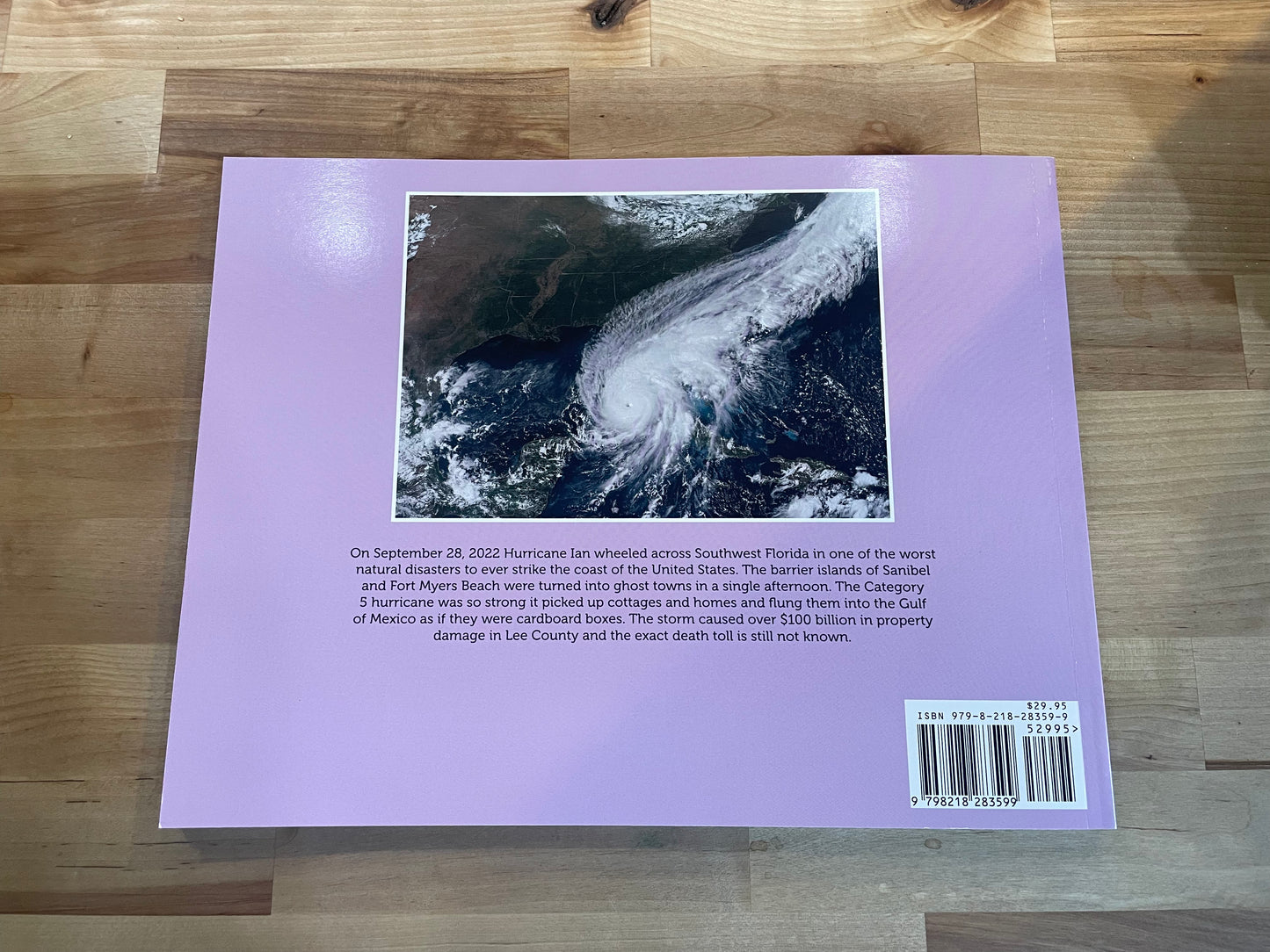 Hurricane Ian: Surviving the Storm Book