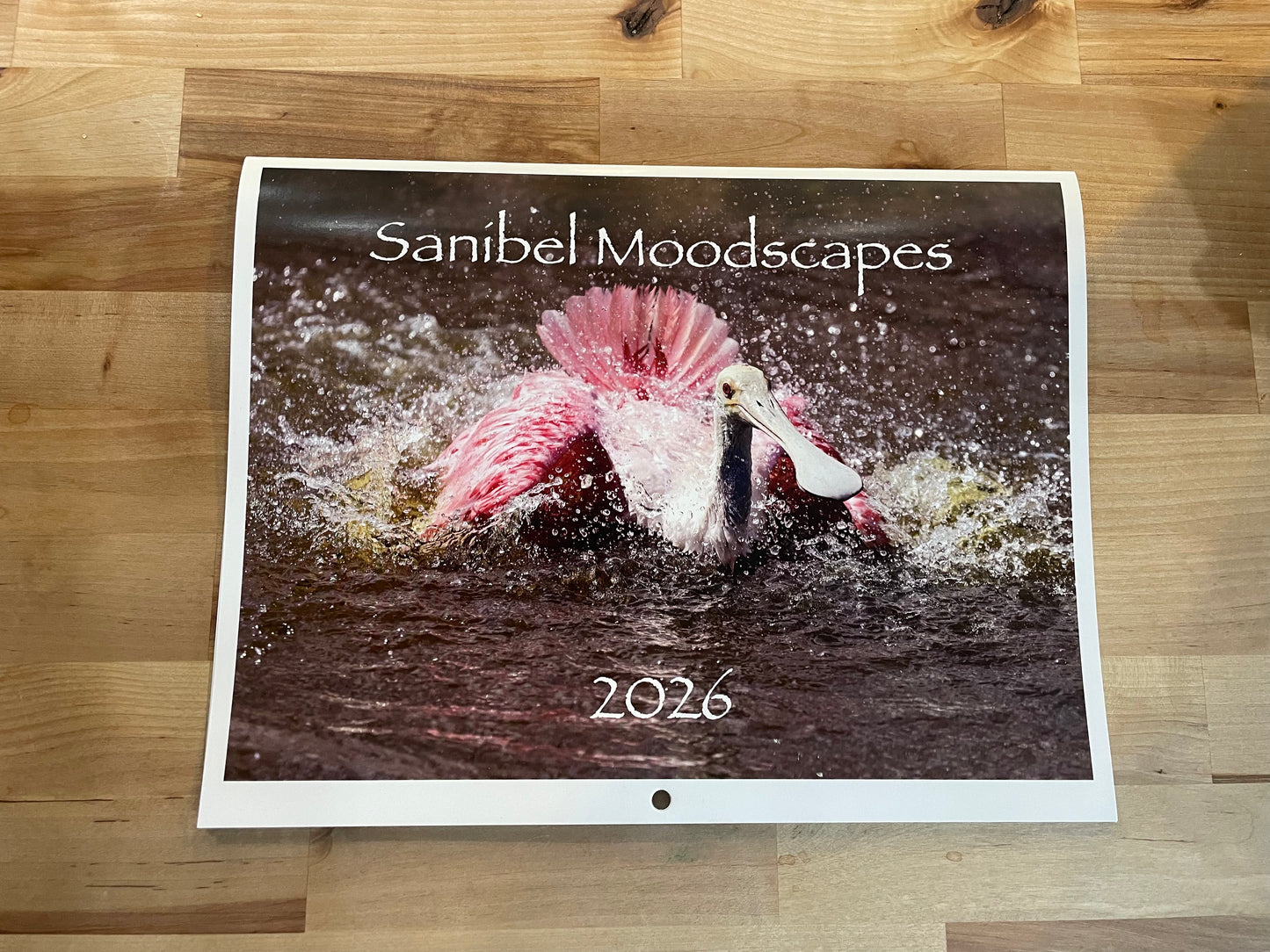 Sanibel Moodscapes 2026 Calendar