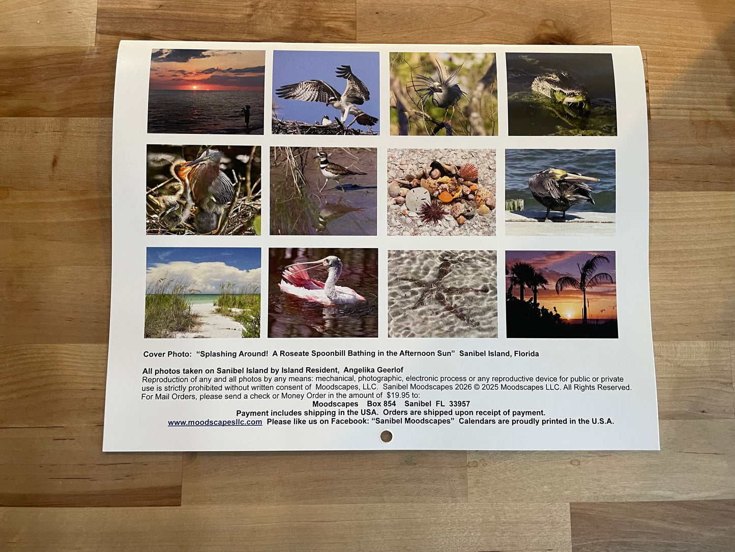 Sanibel Moodscapes 2026 Calendar