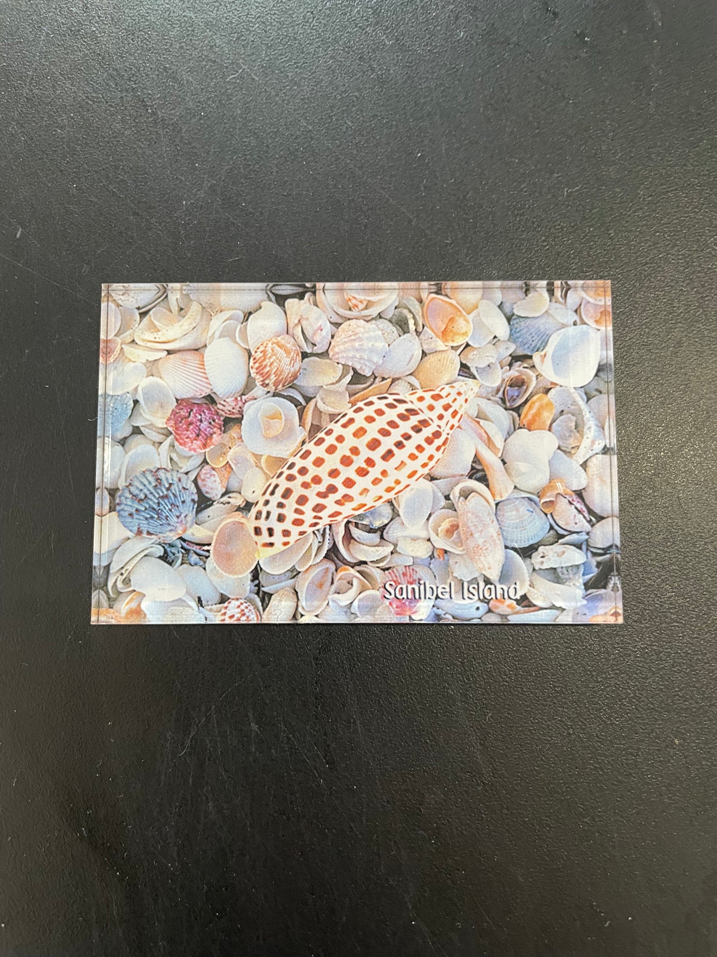 David Meardon Magnets